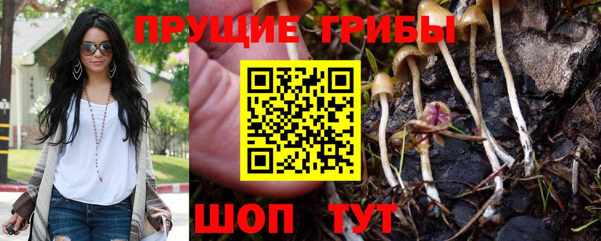 Псилоцибиновые грибы MAGIC MUSHROOMS Барнаул