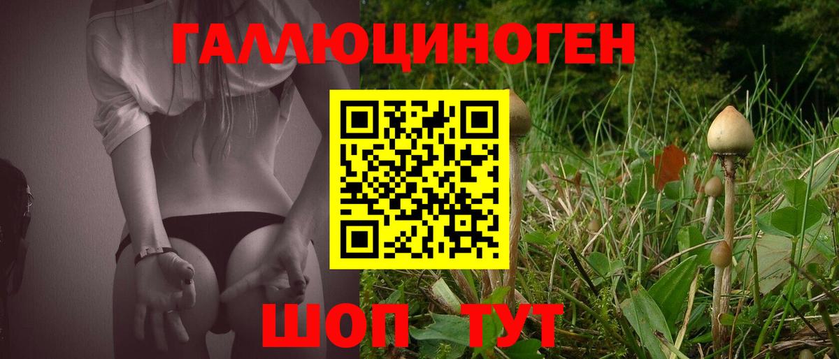Барнаул  Галлюциногенные грибы Cubensis  Вход с VPN  Псилоцибиновые грибы мухоморы 